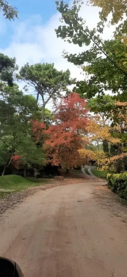 Excelente casa con pileta en el bosque de Carilo