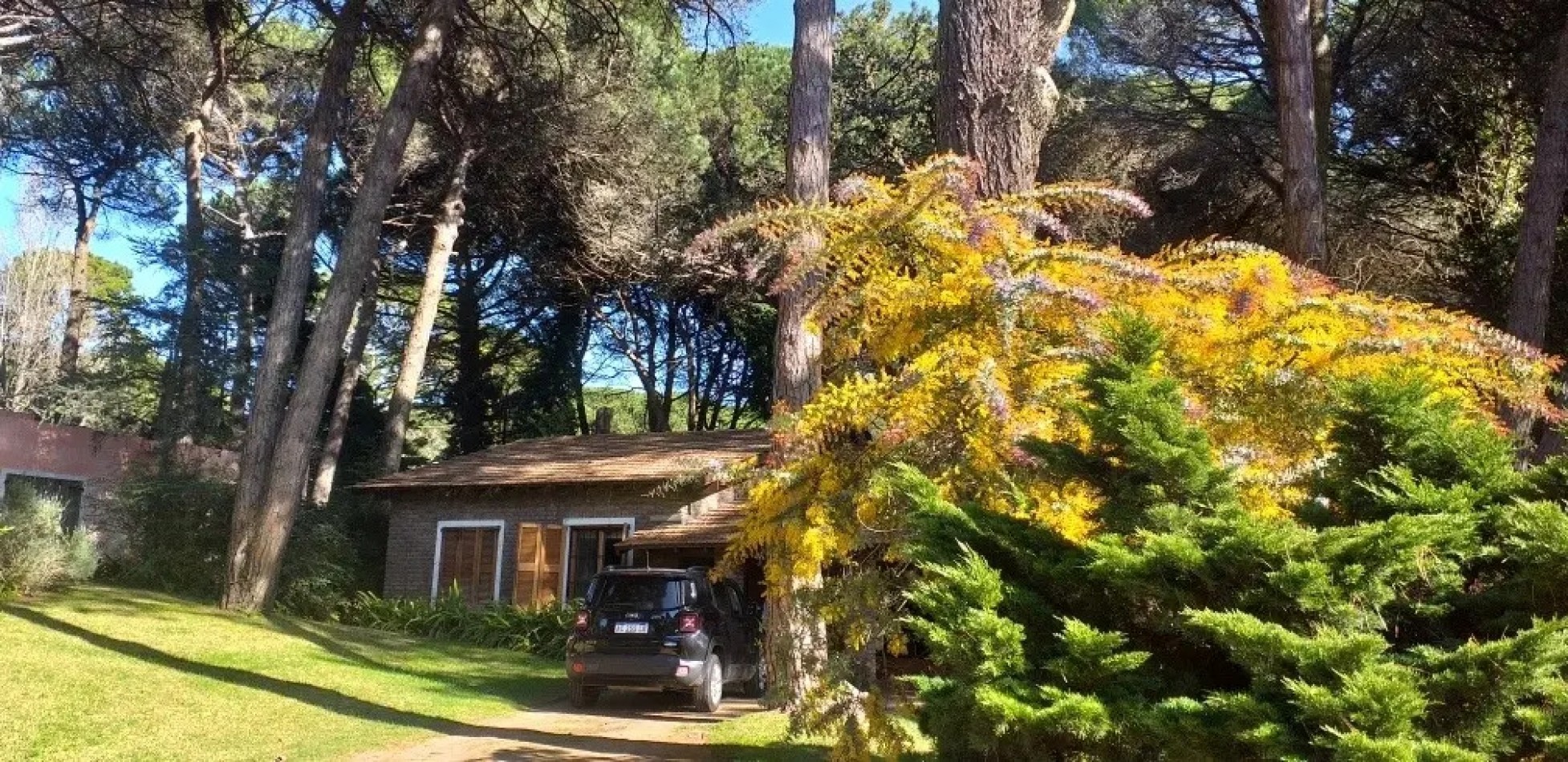 Excelente casa con pileta en el bosque de Carilo