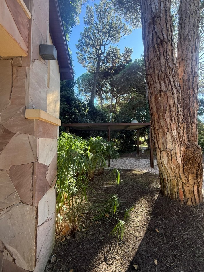Esplendida casa en Carilo en excelente ubicacion.