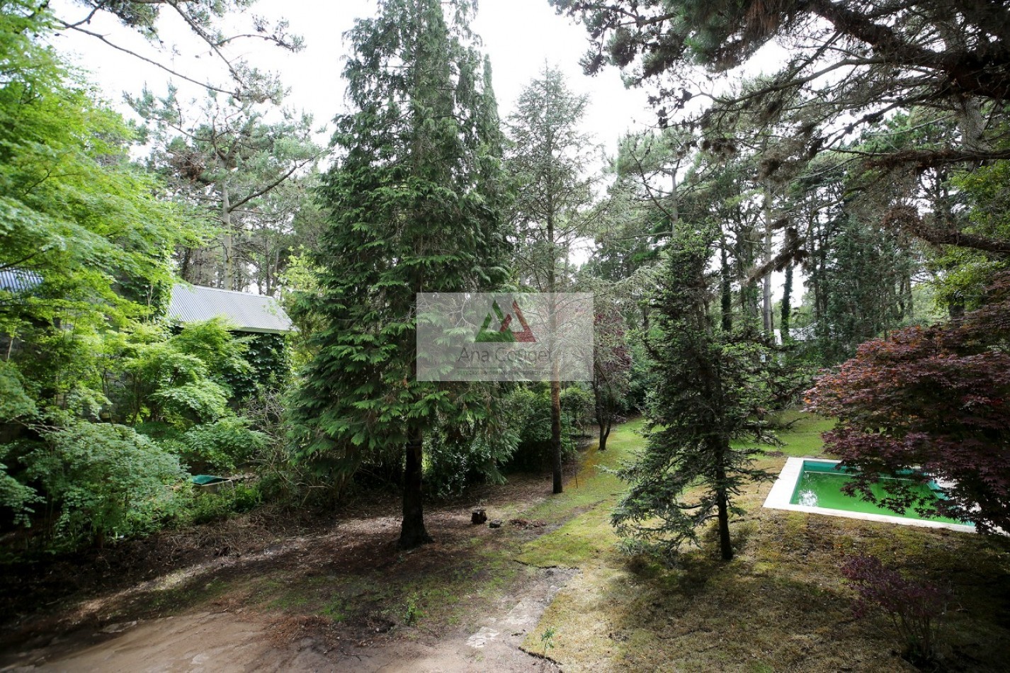 Casa 5 AMBIENTES con pileta en espectacular entorno de bosque