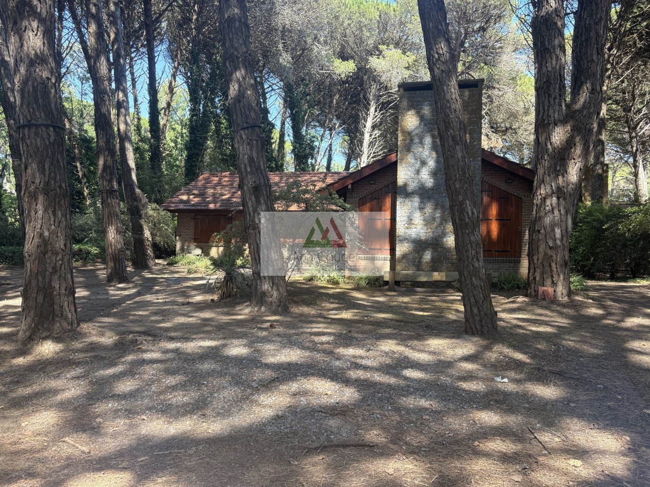 Tipica casa en el bosque de Carilo