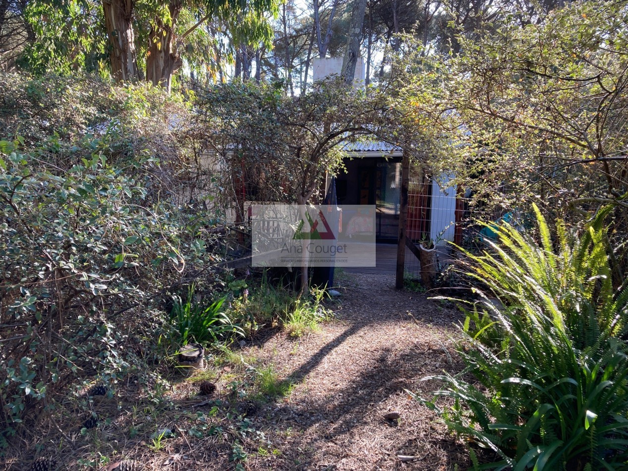 Hermosa casita del bosque, para disfrutar de la naturaleza en Carilo.