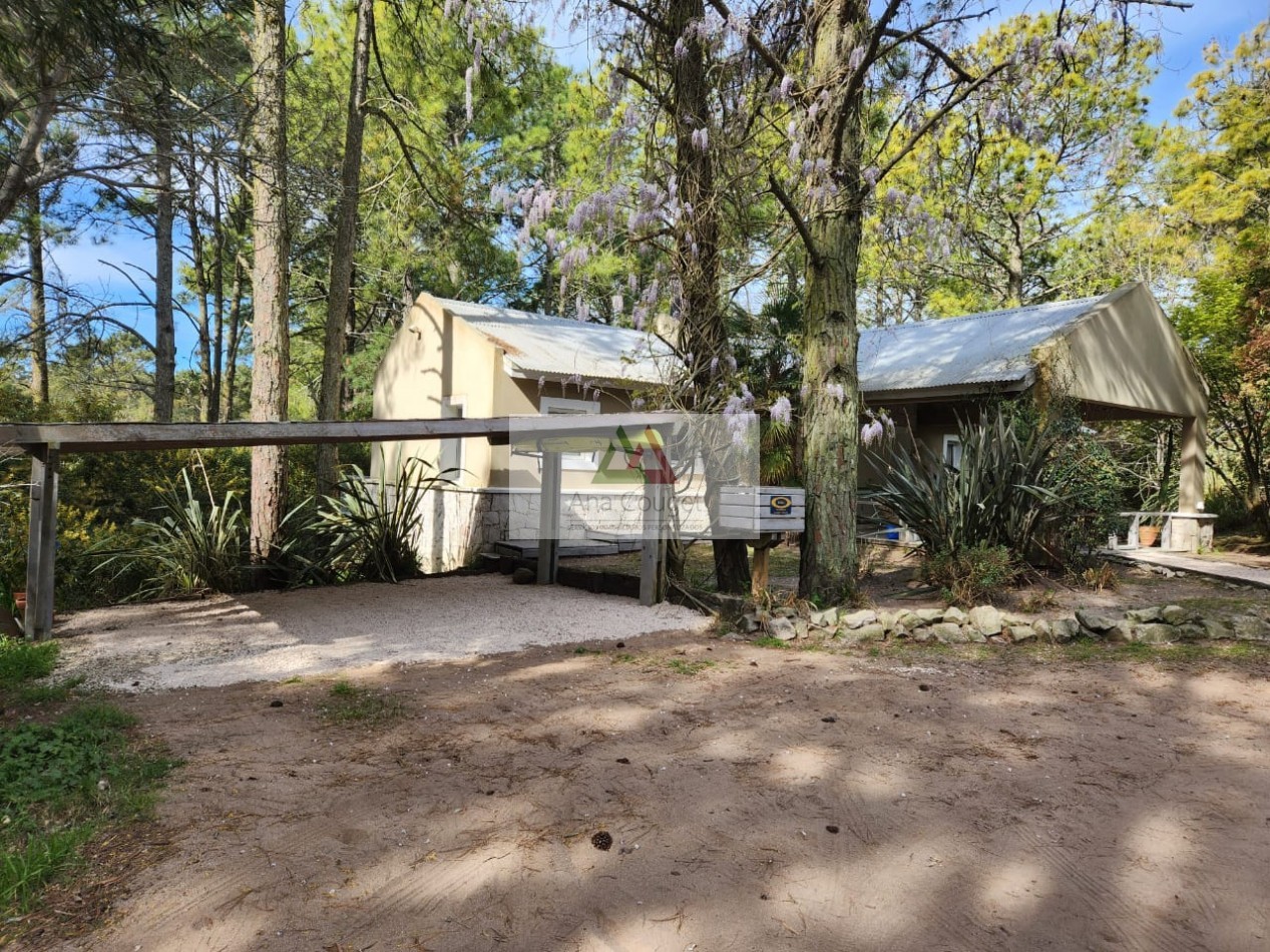 Esplendida casa en lugar muy tranquilo rodeada de bosque