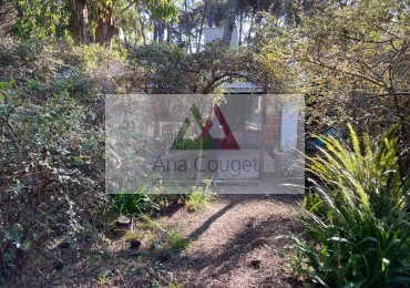 Hermosa casita del bosque, para disfrutar de la naturaleza en Carilo.